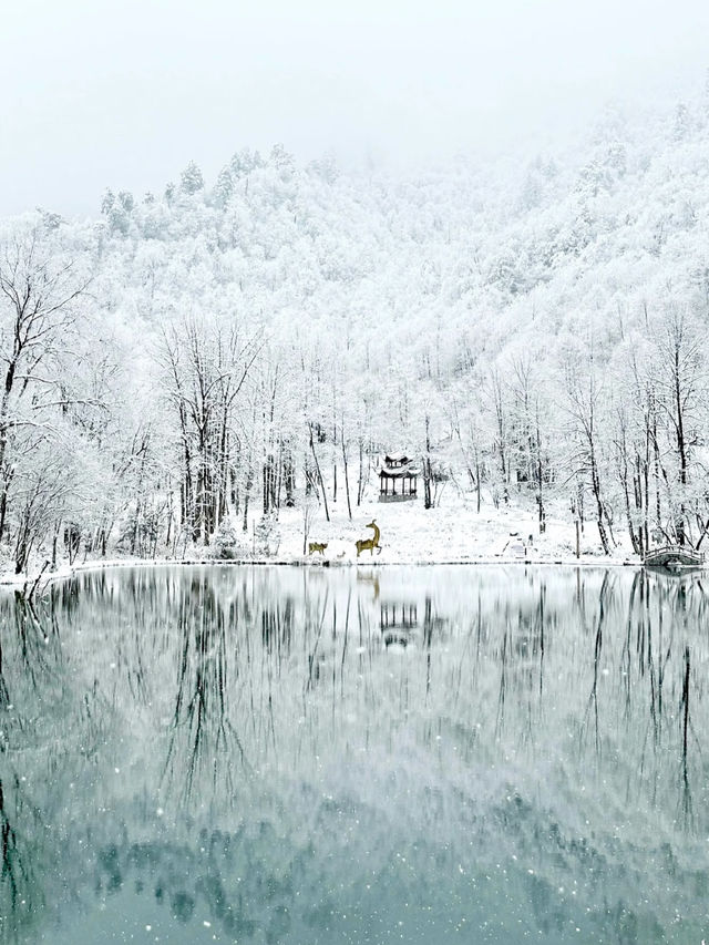 Just 2.5 hours from Chengdu, and it felt like stepping into a snow globe!