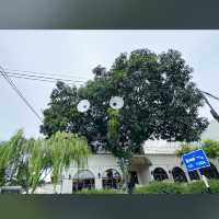 Nimmies Pastry Cafe
