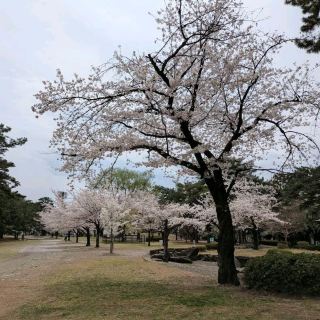 Shikishima Park, Gunma