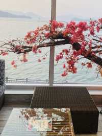 Coastal Calm: Your Geoje Seaside Escape in April 🌊☕ 