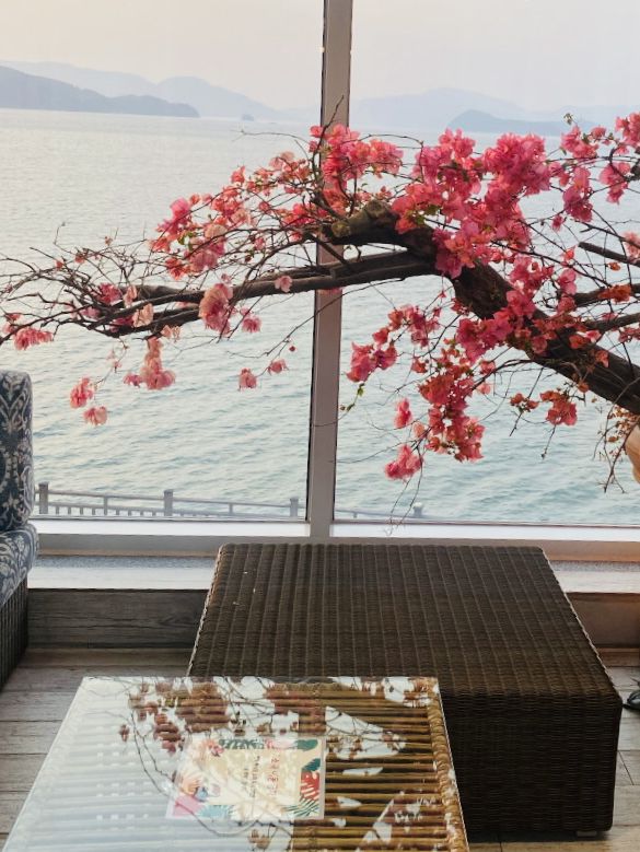 Coastal Calm: Your Geoje Seaside Escape in April 🌊☕ 