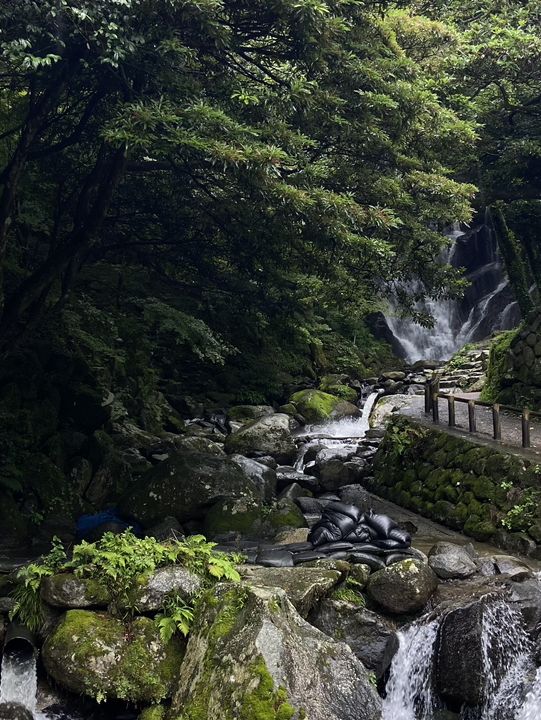 【福岡】白糸の滝