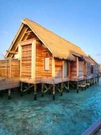Waldorf Astoria Maldives Ithaafushi
