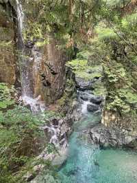 【上高地⛰️🍃】