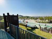 Play, Pets & Plants—Pyeongtaek Fun!