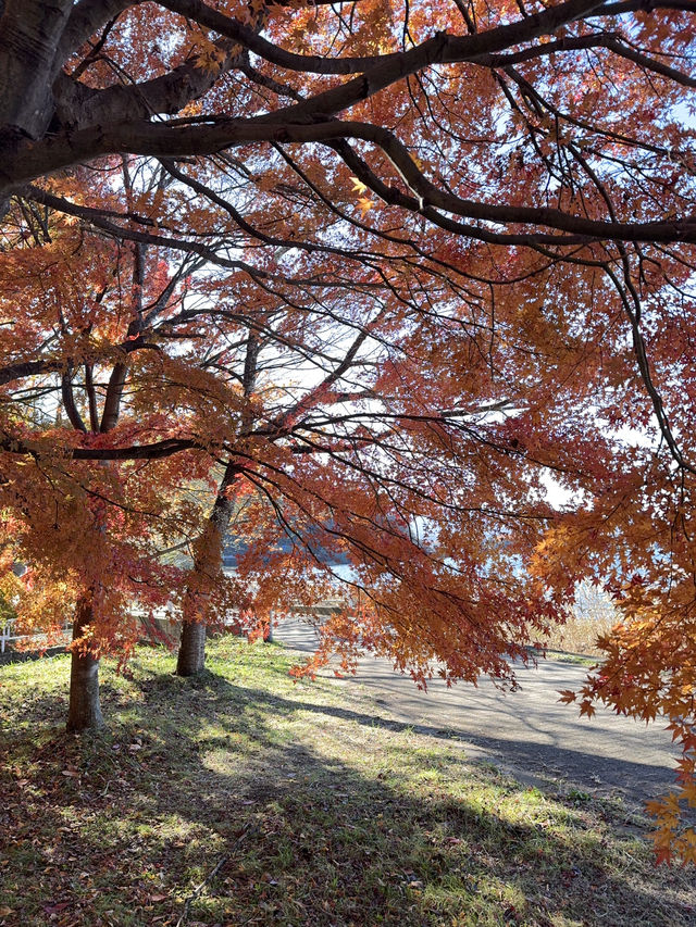 Fuji in autumn คือที่สุดดดด 🍁🗻