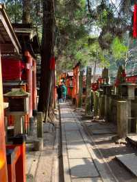 千鳥居之間，走進伏見稻荷的時光隧道