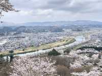 🇯🇵 仙台櫻花 船岡城址公園🌸