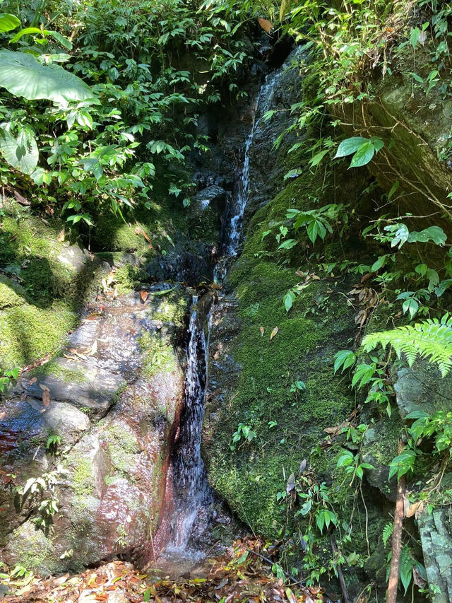 信賢步道