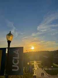 🌅 LA 선셋 명소, 석양의 낭만을 잡다! #LA여행
