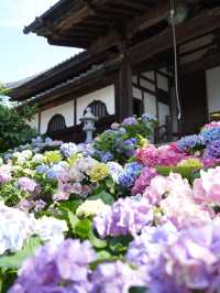 【栃木】境内には思考を凝らしたフォトスポットがたくさん！！