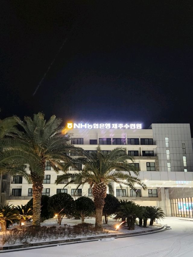 💛제주여행시 오션뷰가 예술인 가성비 숙소!! "NH농협은행 제주수련원"💛