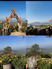 4 คาเฟ่ชิล ๆ เมืองเลย-ไฮตาก-ด่านซ้าย ต้องมา