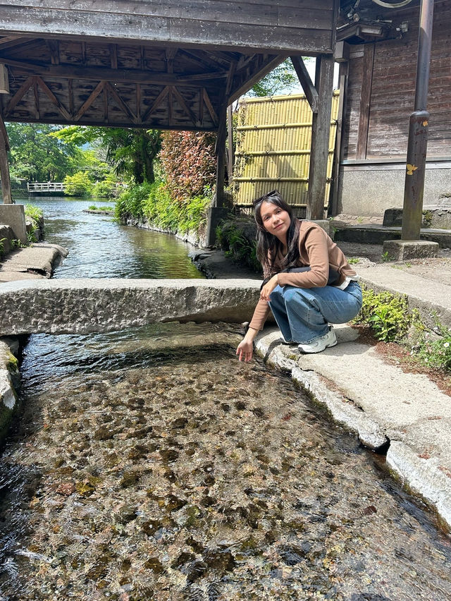 เดินเล่น ถ่ายรูปชิลล์ ๆ ที่ Yufuin Floral Village