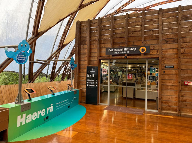  紐西蘭 Waitomo Glowworm Caves：一場地底星空的靜默奇遇
