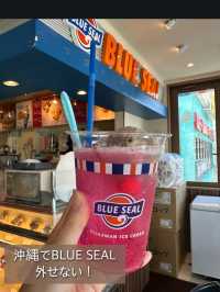 【沖縄旅行】沖縄旅行のおすすめや定番スポット紹介😍