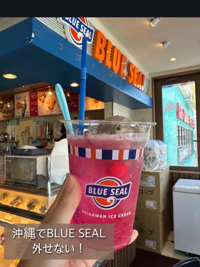 【沖縄旅行】沖縄旅行のおすすめや定番スポット紹介😍