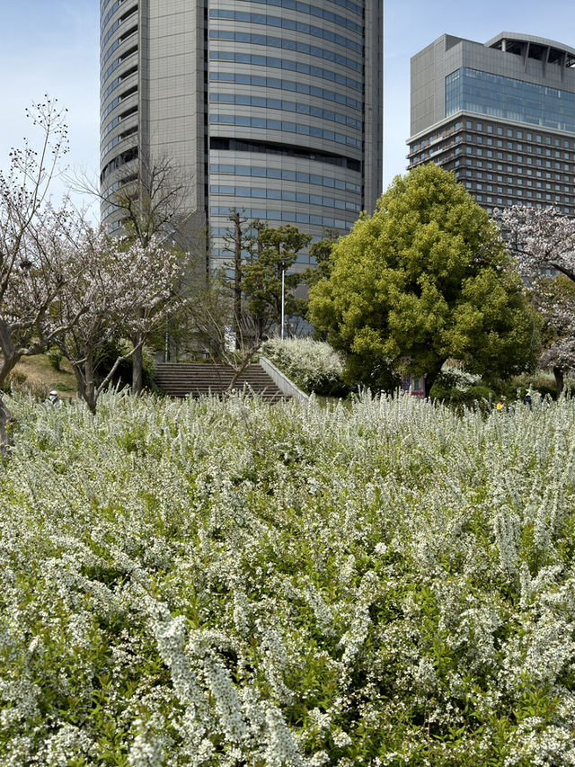 大阪交通攻略｜地鐵四橋線