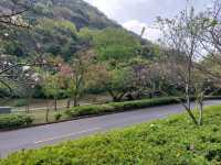 The Stunning views at Yangmingshan National Park, Taipei, Taiwan