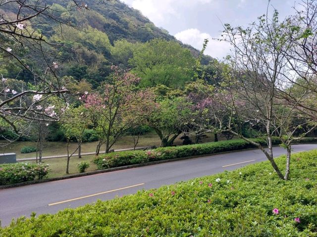 The Stunning views at Yangmingshan National Park, Taipei, Taiwan