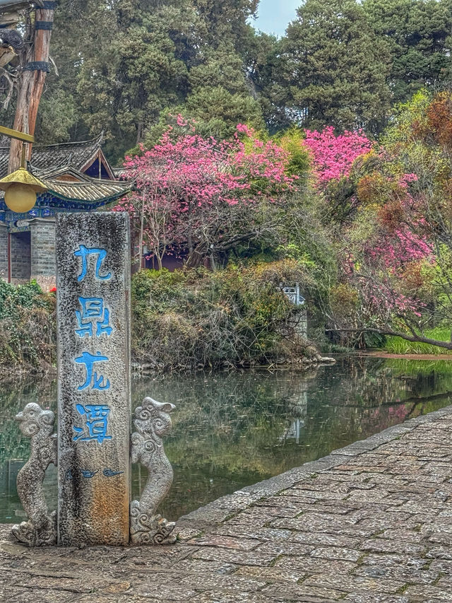 Echoes of the Past: Spring Wanders in Shuhe Ancient Town