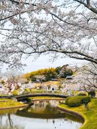 Flower Wonderland