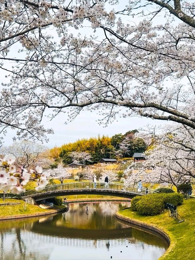 Flower Wonderland