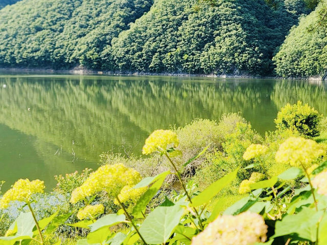 A Trip to Janggye Tourist Site in Okcheon, Near Daejeon