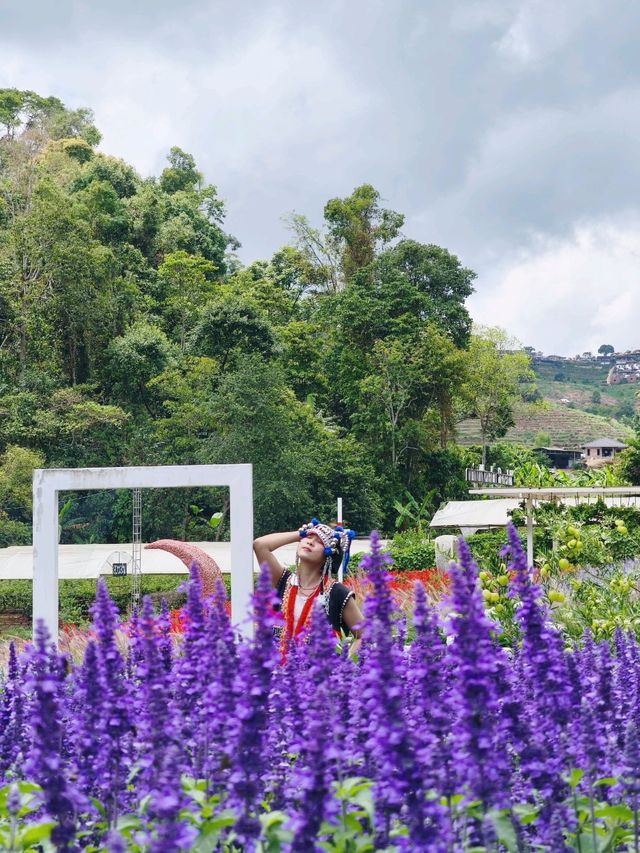 สวนอีเดน รีสอร์ท @ม่อนแจ่ม เชียงใหม่