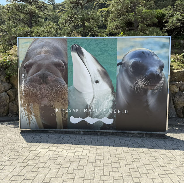 海と水槽が一体化？！温泉地から近い、城崎マリンワールド