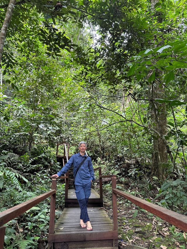 馬來西亞沙巴神山Mt. Kinabalu自由行