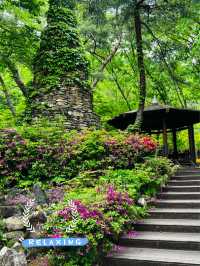 A Quirky Escape to Sangso-dong Forest Bathing Area