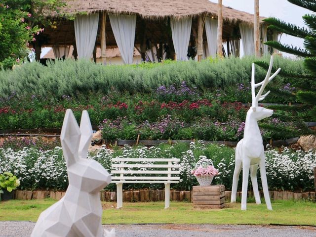 The peak flower land