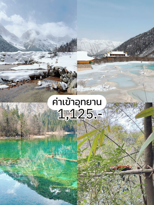 แชร์งบเที่ยว เฉิงตู 8 วัน 7 คืนคนละ 16,xxx บาท