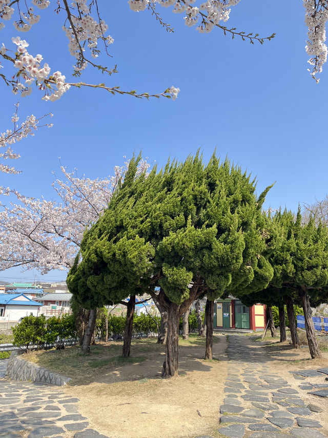 포항에서 느끼는 일본소도시 감성 일본인가옥거리