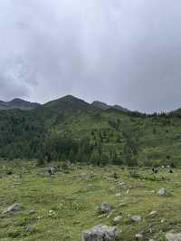 去年六月四姑娘山一日遊