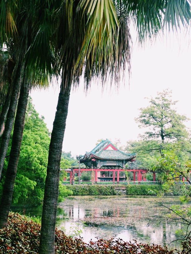 中國廣東肇慶旅行攻略，適合打卡拍照📸
