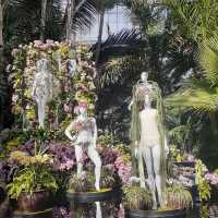 The Bronx in Bloom: The Orchid Show at NYBG