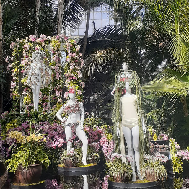 The Bronx in Bloom: The Orchid Show at NYBG