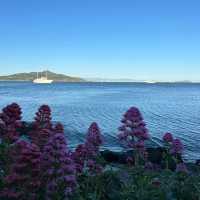 “Sausalito: Where the bay sparkles, the art flows, and life feels like a postcard.” ✨🌊⛵🎨🍷