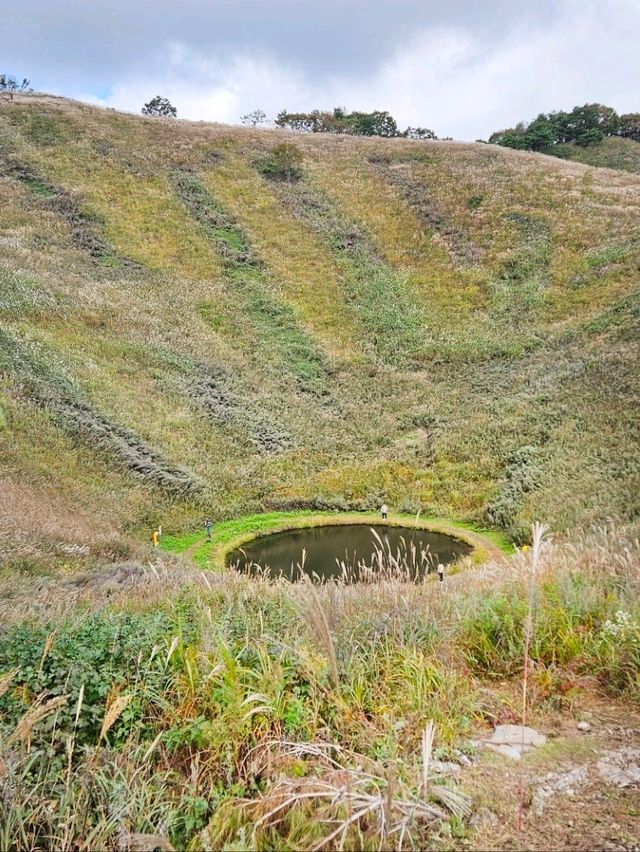 아이와 정선민둥산 산행