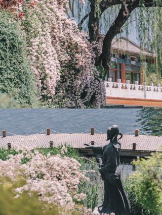Xihai Wetland Park | A Hidden Gem in Full Bloom