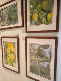 A Peaceful Stroll Through JB’s Art Corner
