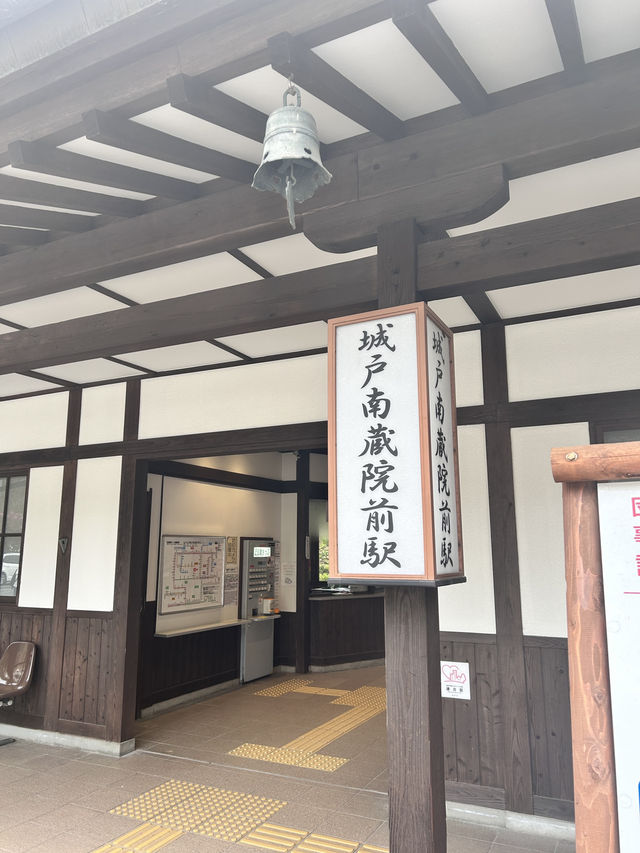 【福岡県篠栗町】春の南蔵院