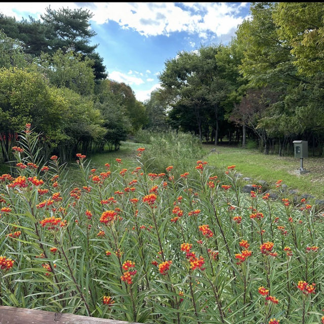 ハンバッ樹木園
