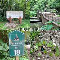 แพลนเที่ยวเขาพะเนินทุ่ง 1 คืน 