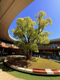 岡山｜三井outlet與Ario商場組成購物圈 倉敷購物必去