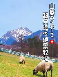 【日本のスイス】ハイジの気分になれる無料の穴場牧場