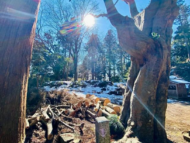 Hachiōji Castle Ruins – A Historical Hideaway in the Mountains of Tokyo