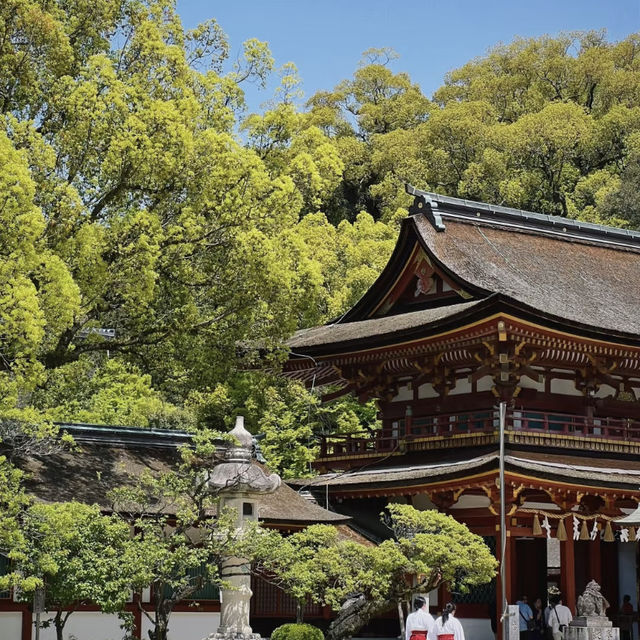 Still Dreaming of Kyushu: A Month Later and I’m Ready to Go Back!